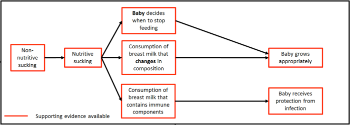 Figure 2: Feeding at the breast.